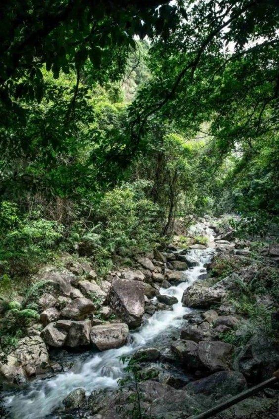 三门峡颈椎捶打按摩器